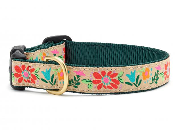 Dog Collars 1